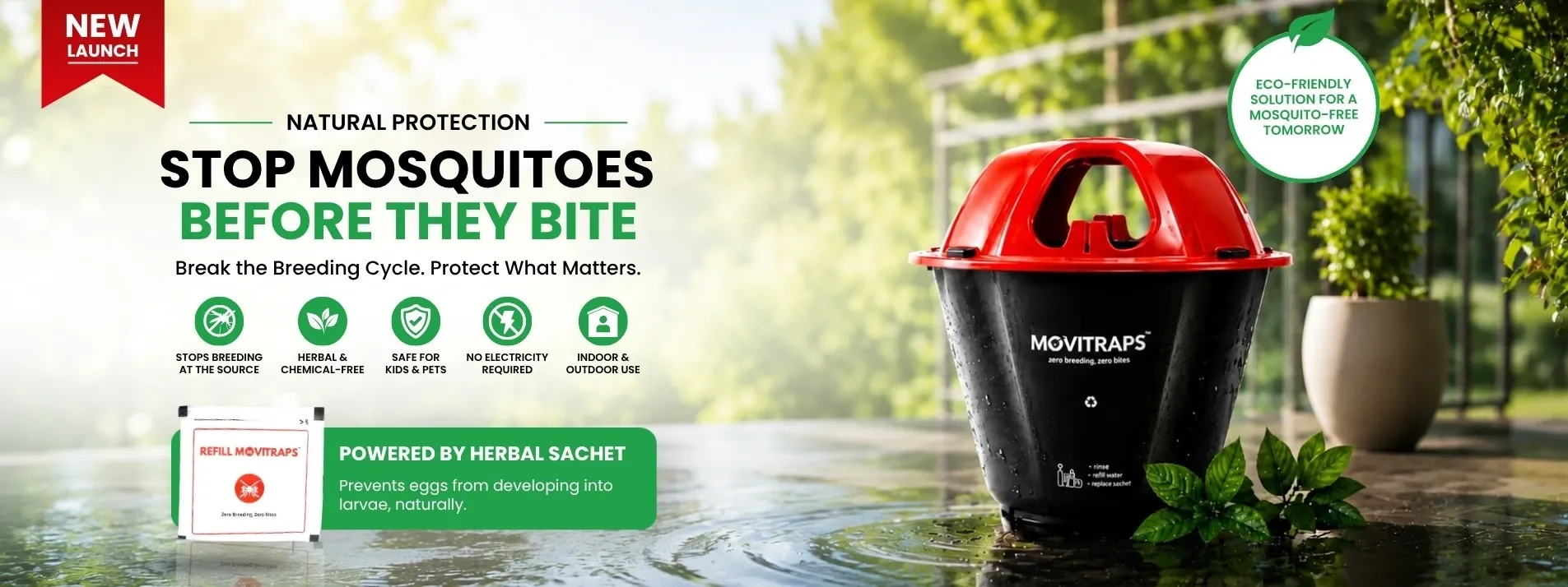 Your Home, Pest-Free Guaranteed