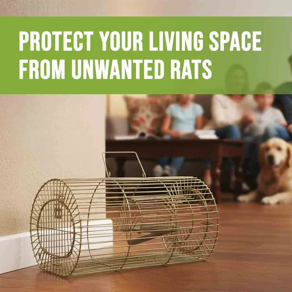 HiCare RatCare / RodentCare – Humane, Heavy-Duty Rodent Trap Cage (Reusable & Pet-Safe) - Image 3